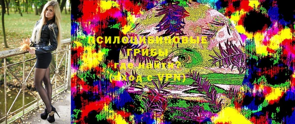 прущая мука Абаза