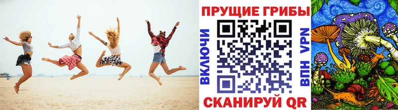 Псилоцибиновые грибы прущие грибы продажа наркотиков Донской